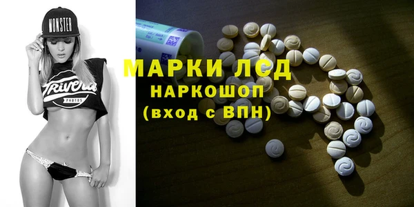 хмурый Верея