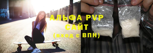 хмурый Верея