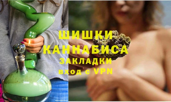 хмурый Верея