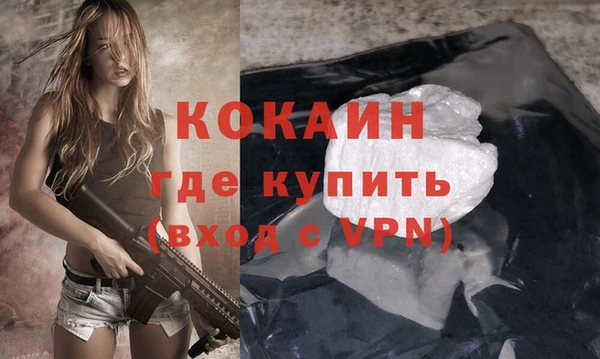 хмурый Верея