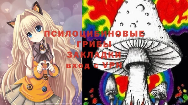 дурь Верхний Тагил